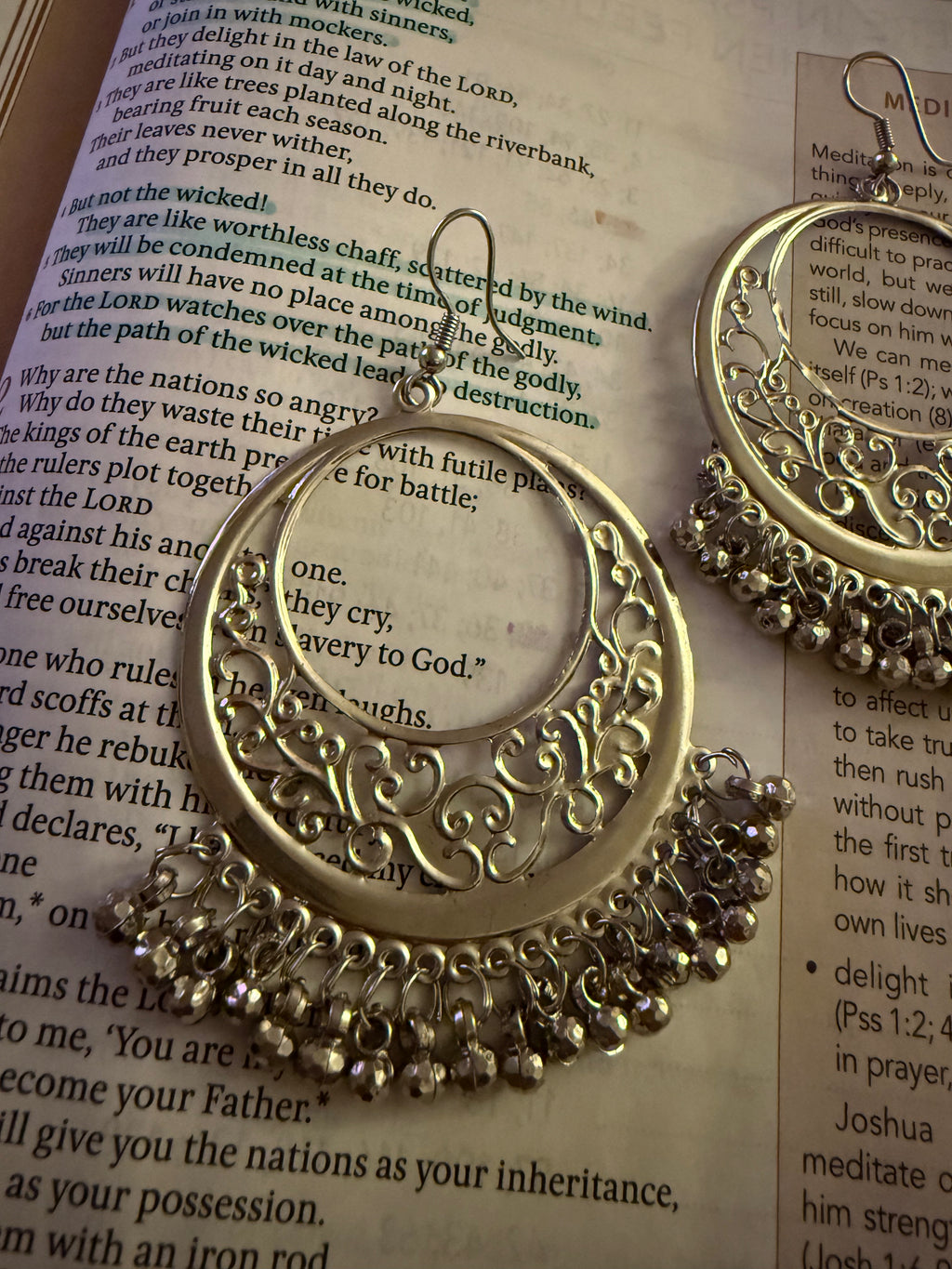 Silver Filigree Crescent Statement Earrings