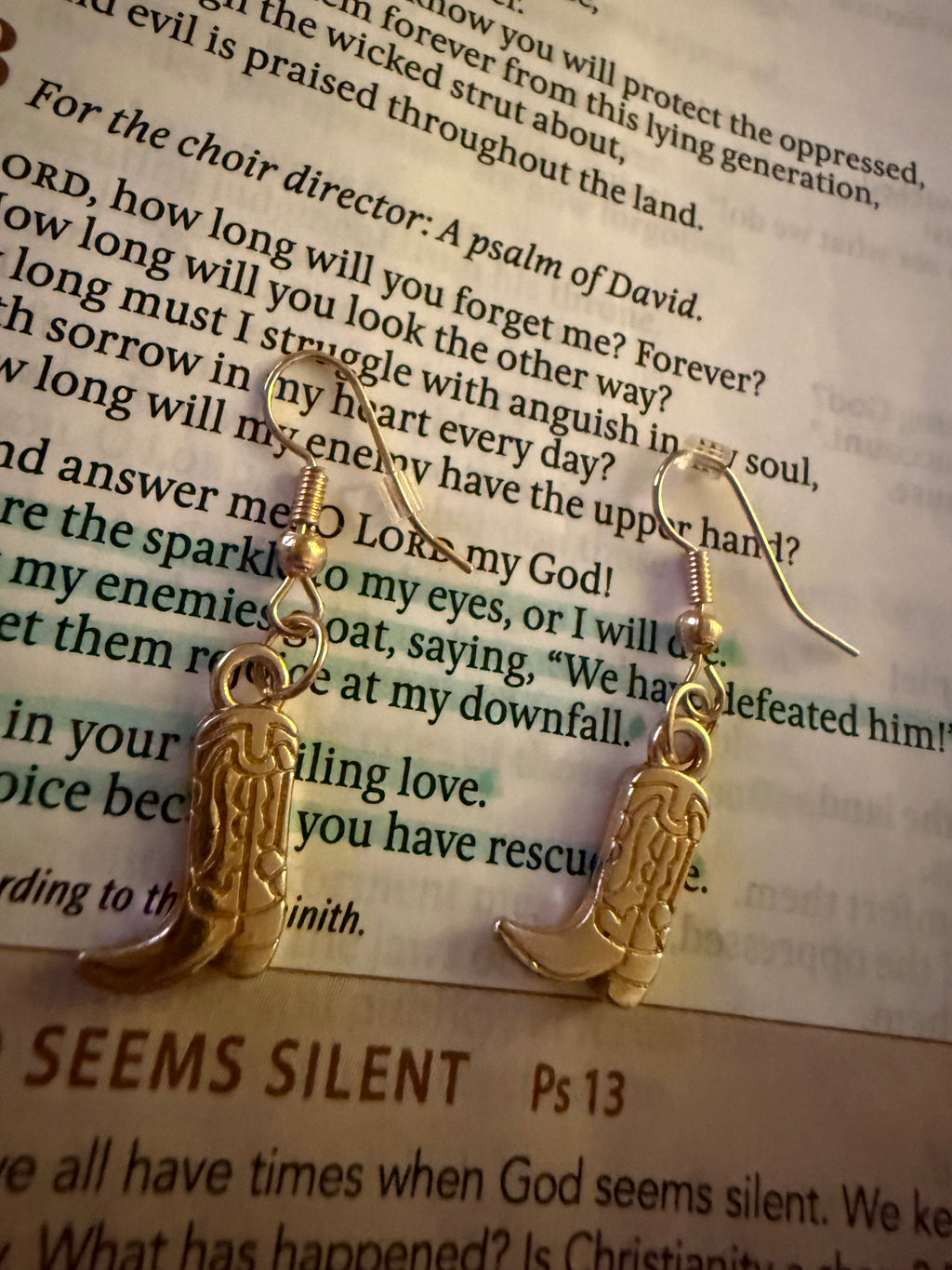 Wildflower West Earrings