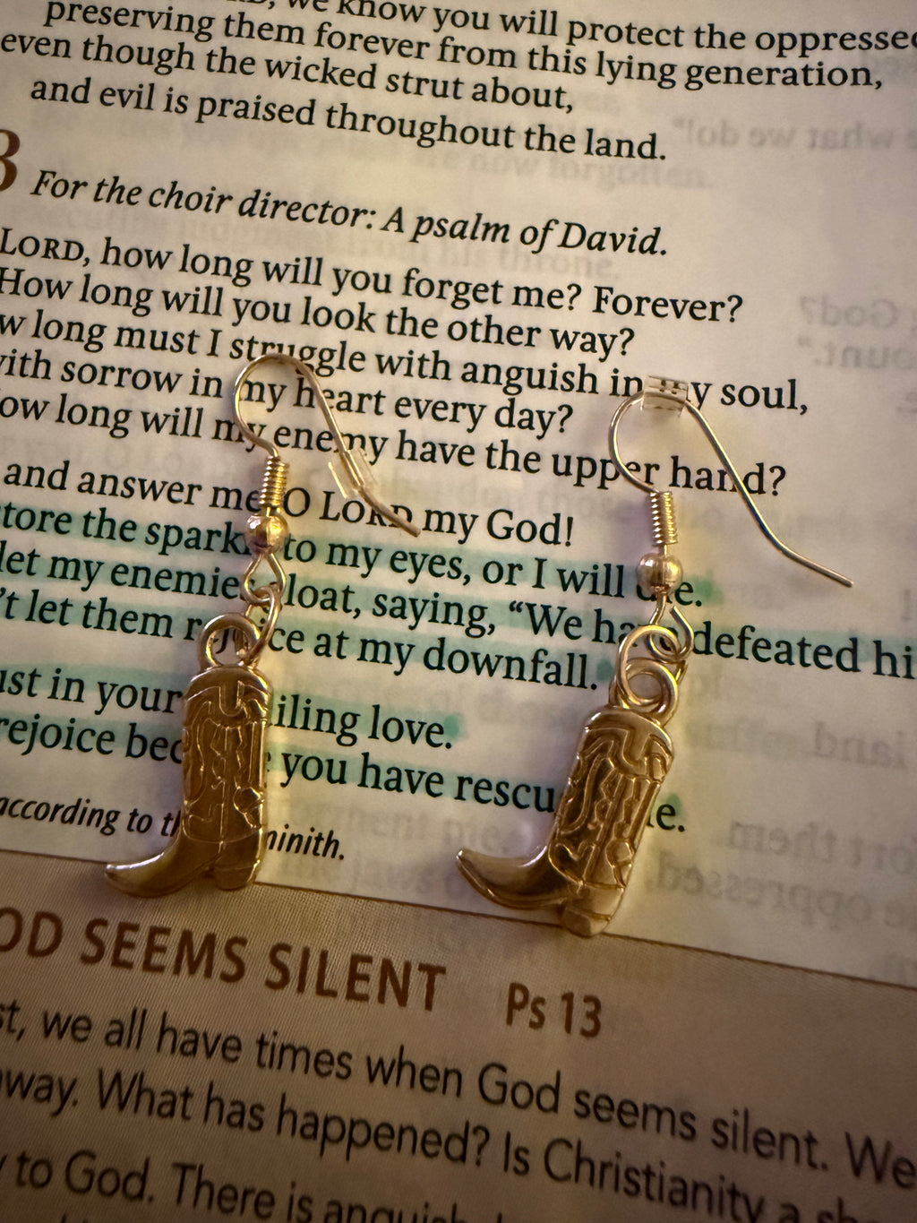 Wildflower West Earrings
