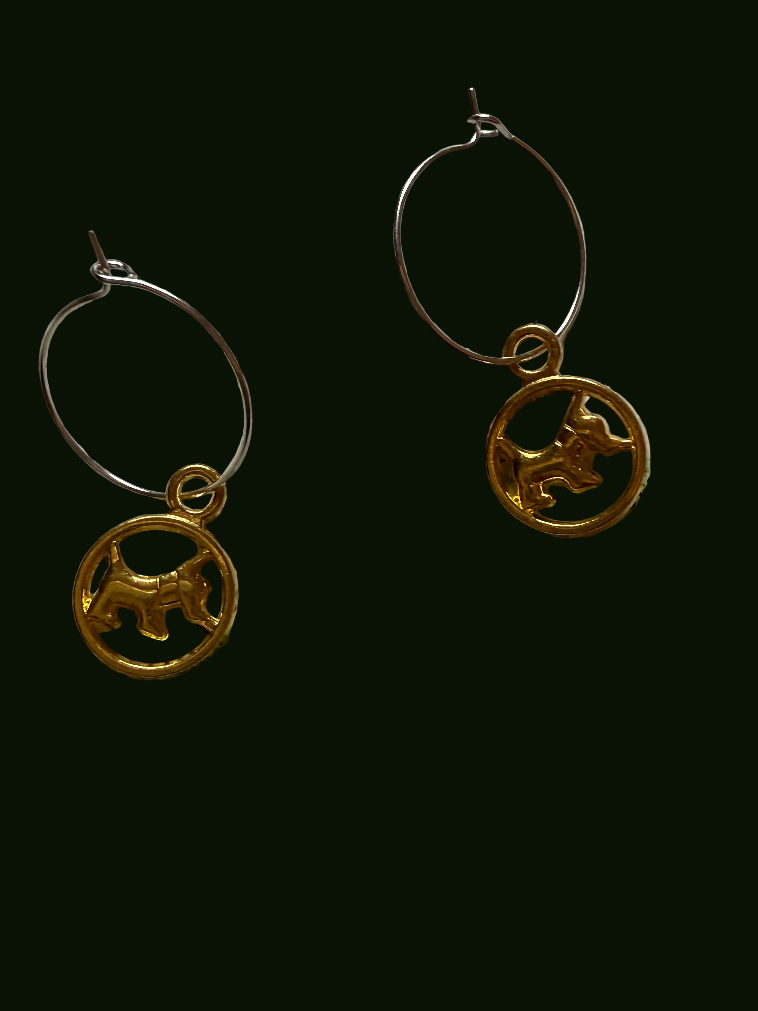 Blessed Companion Earrings