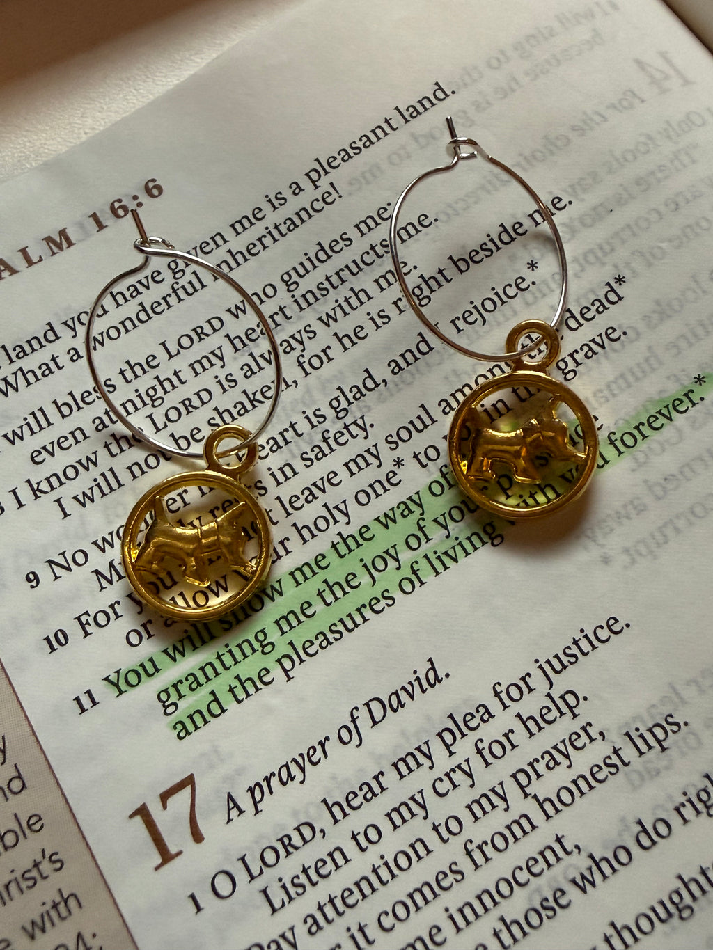 Blessed Companion Earrings