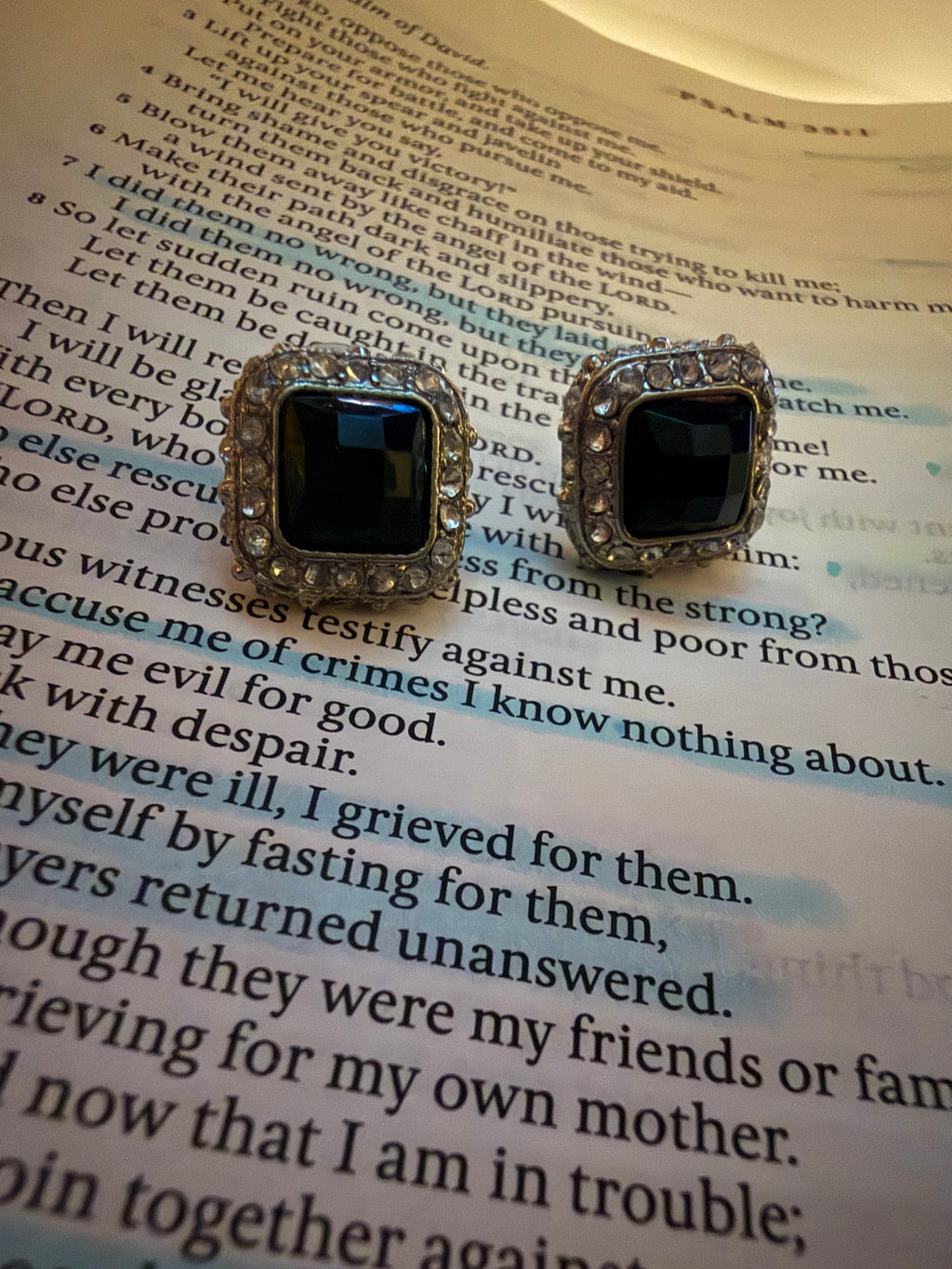 Midnight Grace Earrings